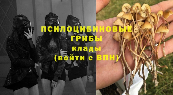 ALPHA PVP Алексеевка