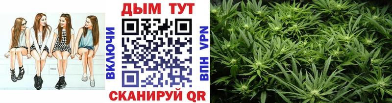 OMG зеркало  Александровск-Сахалинский  Бошки марихуана THC 21%  купить  